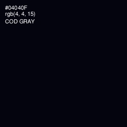 #04040F - Cod Gray Color Image
